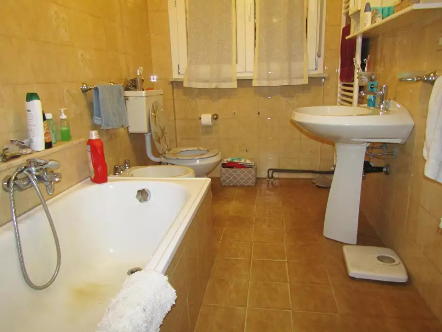 Immagine 11 di Appartamento in vendita  a Carrara