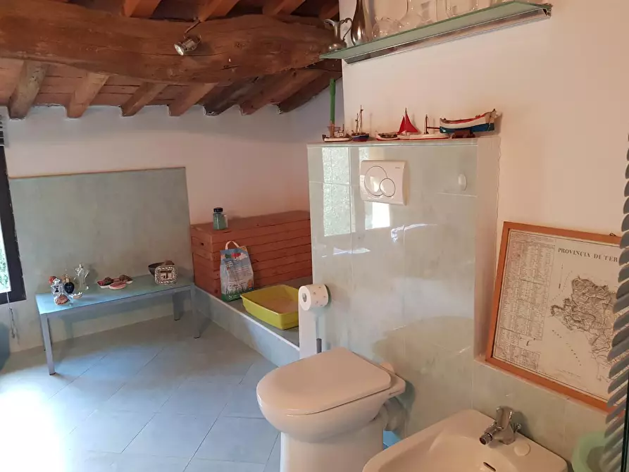 Immagine 28 di Rustico / casale in vendita  a Calci