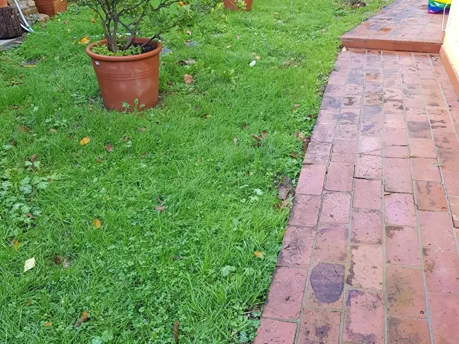 Immagine 48 di Rustico / casale in vendita  a Calci