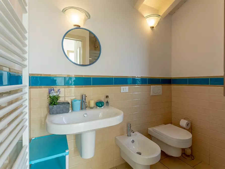 Immagine 37 di Villa in affitto  a Pietrasanta