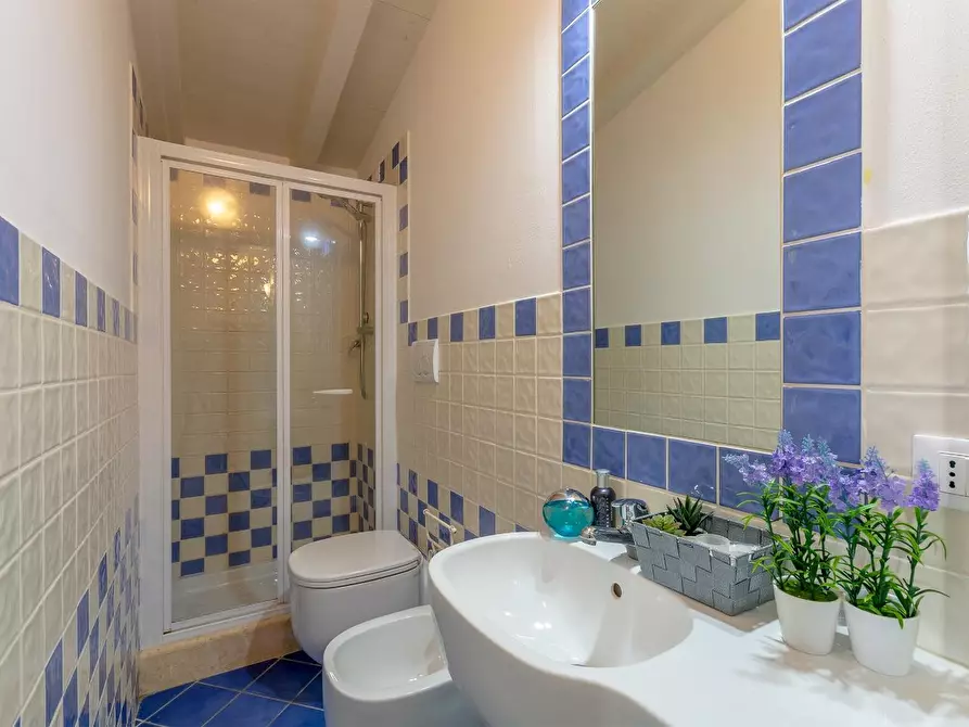 Immagine 36 di Villa in affitto  a Pietrasanta