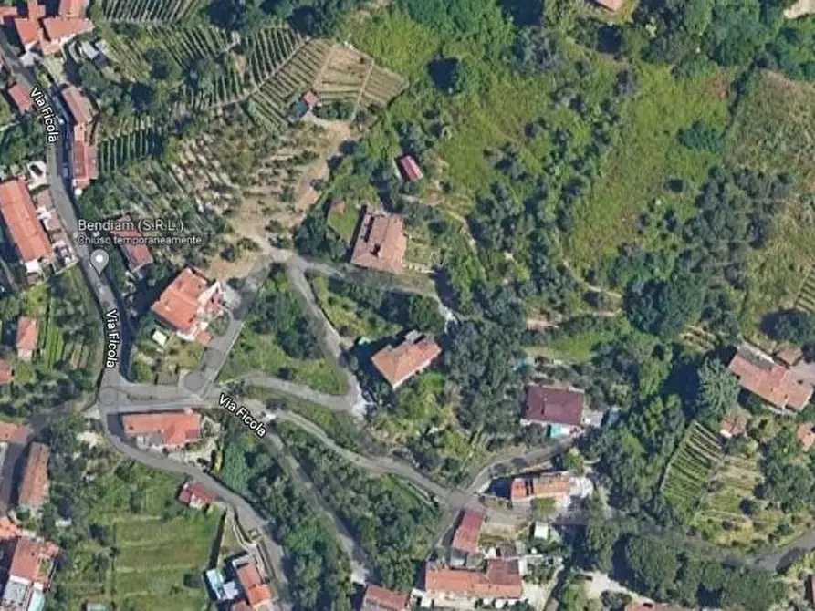 Immagine 1 di Terreno agricolo in vendita  a Carrara