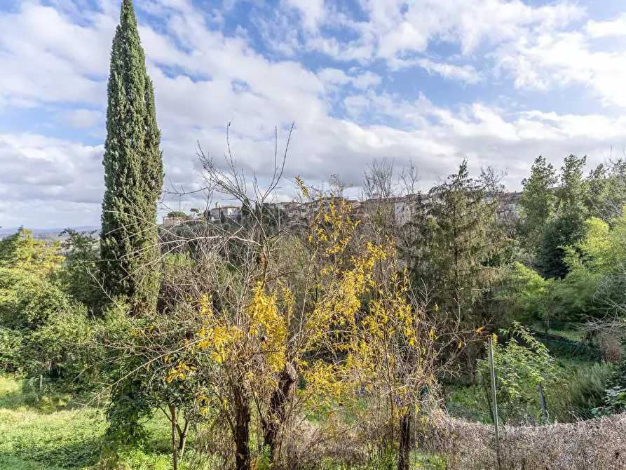 Immagine 36 di Terratetto in vendita  a San Miniato