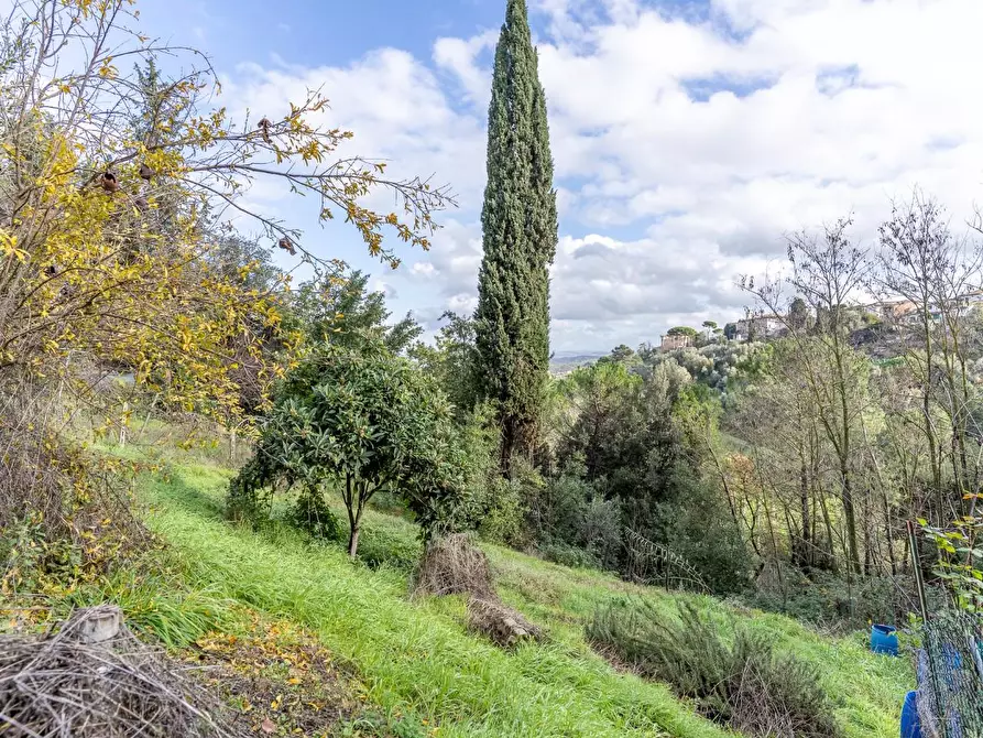 Immagine 37 di Terratetto in vendita  a San Miniato