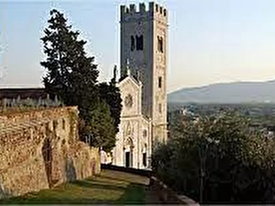 Immagine 4 di Terreno residenziale in vendita  a Porcari