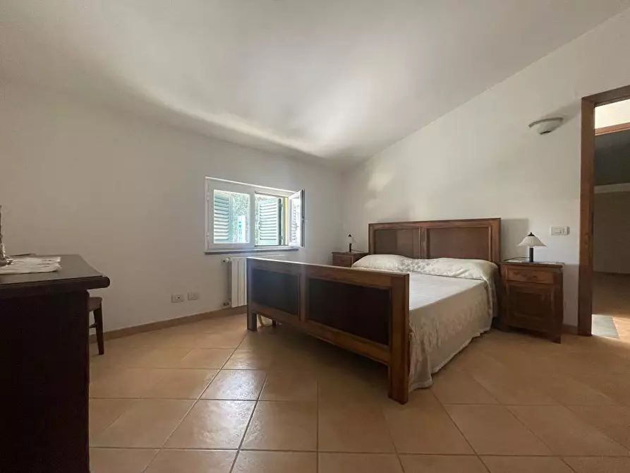 Immagine 11 di Terratetto in affitto  a Pietrasanta