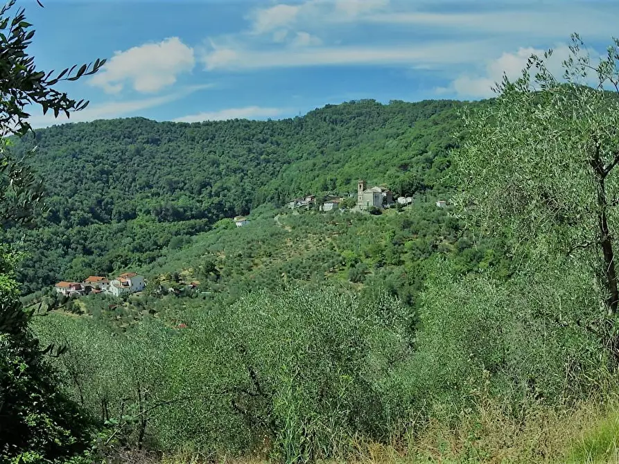 Immagine 41 di Casa indipendente in vendita  a Lucca