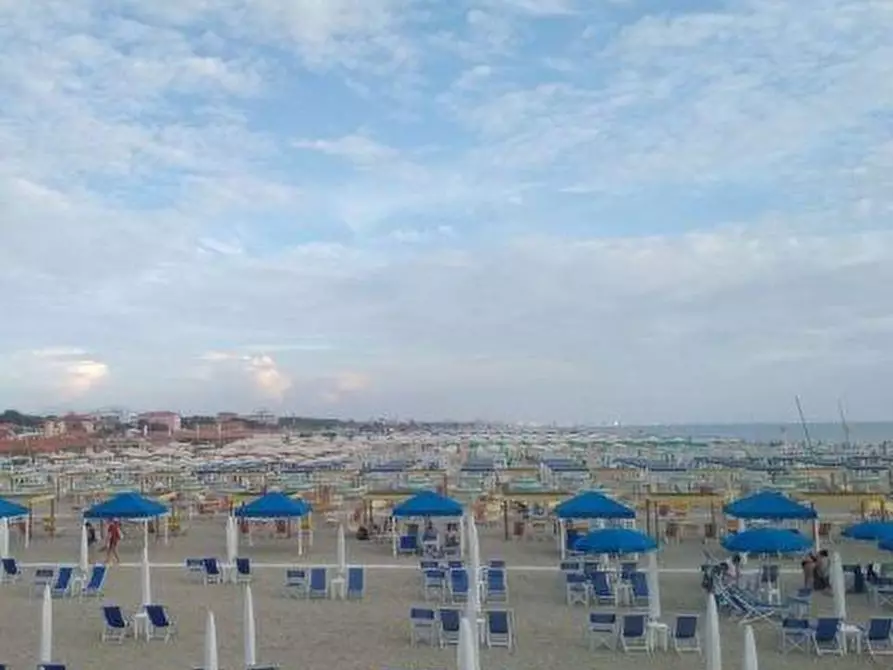 Immagine 2 di Attività commerciale in vendita  a Pietrasanta