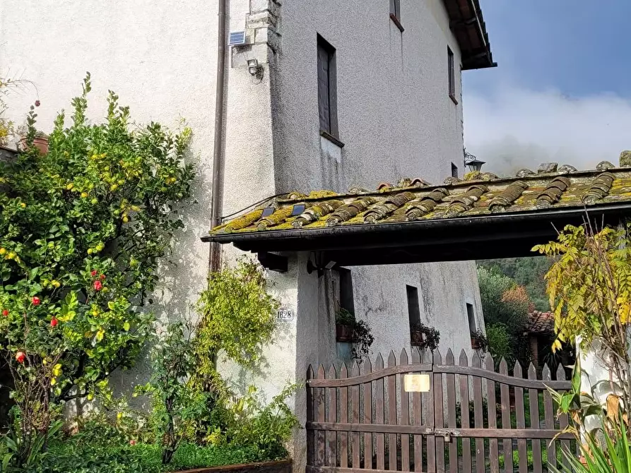 Immagine 57 di Rustico / casale in vendita  a Lucca