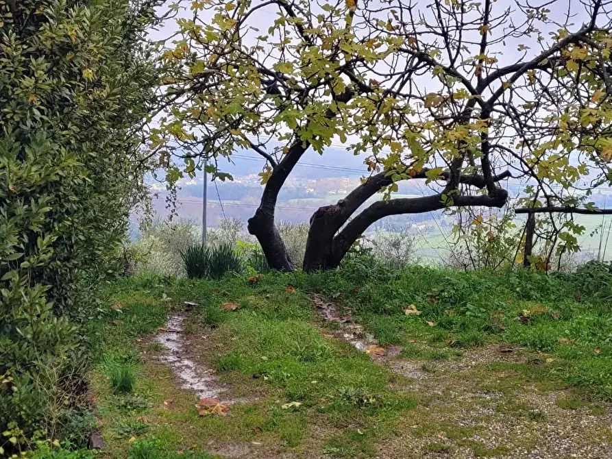 Immagine 62 di Rustico / casale in vendita  a Lucca