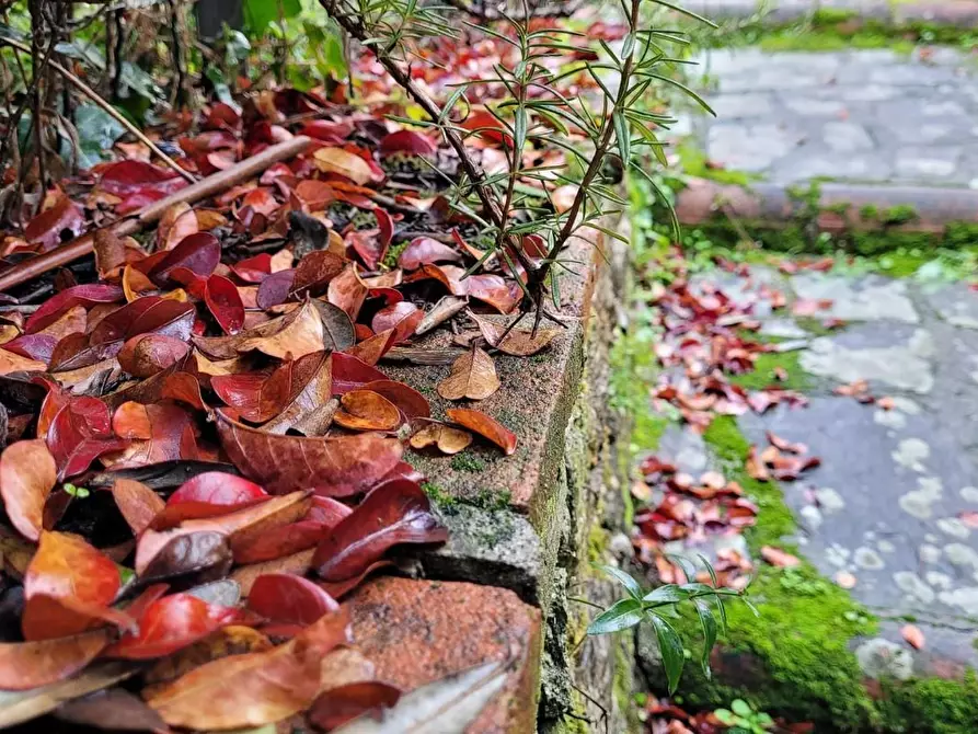 Immagine 53 di Rustico / casale in vendita  a Lucca