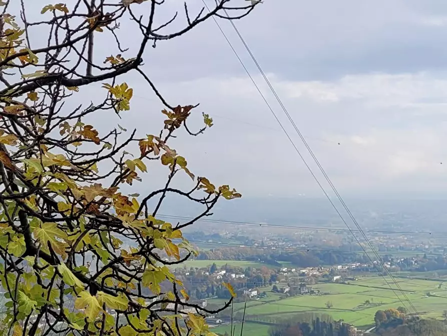 Immagine 58 di Rustico / casale in vendita  a Lucca