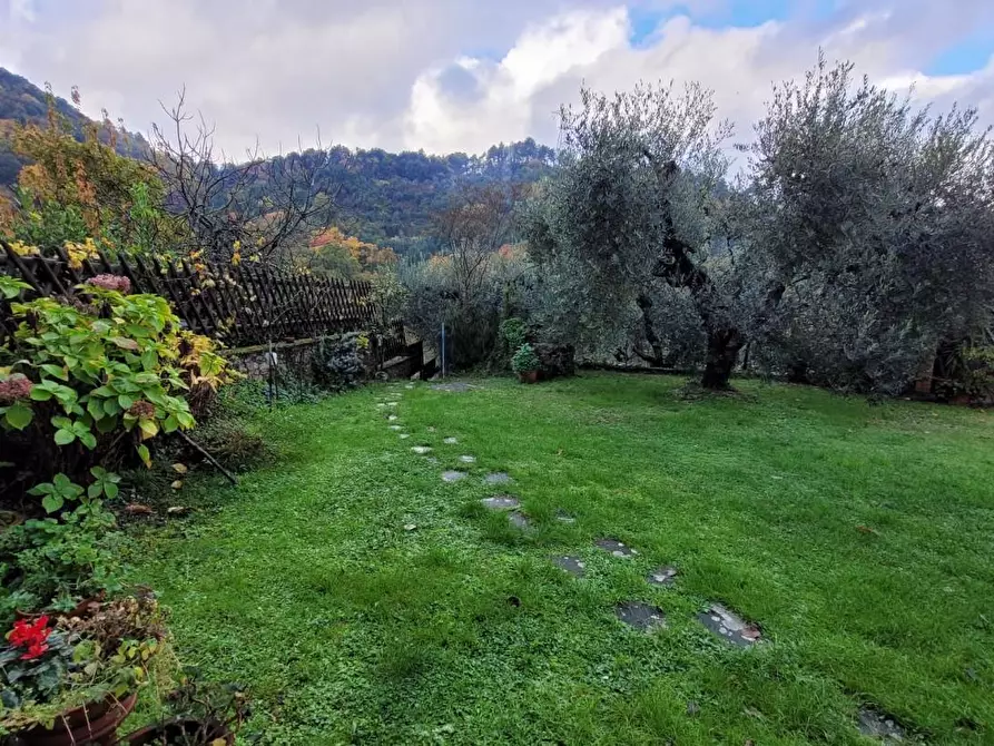 Immagine 43 di Rustico / casale in vendita  a Lucca