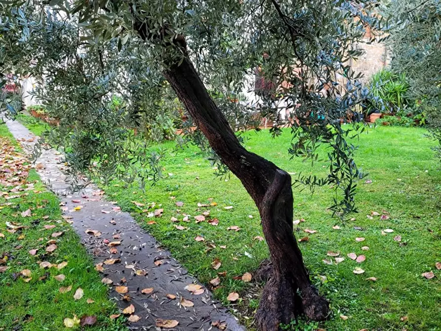 Immagine 47 di Rustico / casale in vendita  a Lucca
