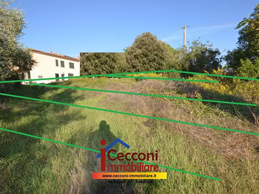 Immagine 2 di Terreno residenziale in vendita  a Cerreto Guidi
