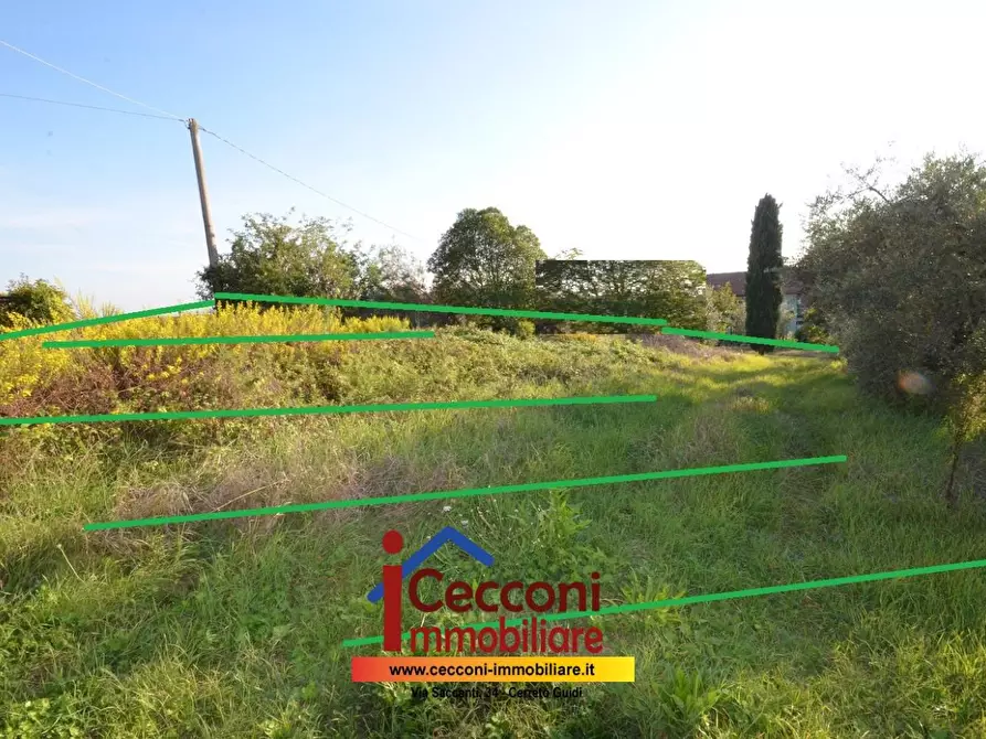 Immagine 3 di Terreno residenziale in vendita  a Cerreto Guidi