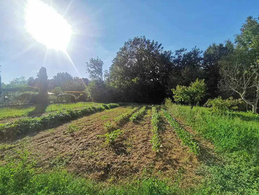 Immagine 31 di Casa indipendente in vendita  a Castelfranco Di Sotto