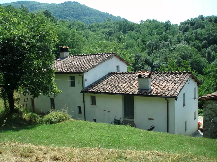 Immagine 6 di Rustico / casale in vendita  a Lucca