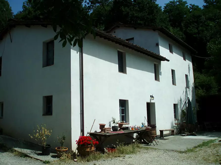 Immagine 2 di Rustico / casale in vendita  a Lucca