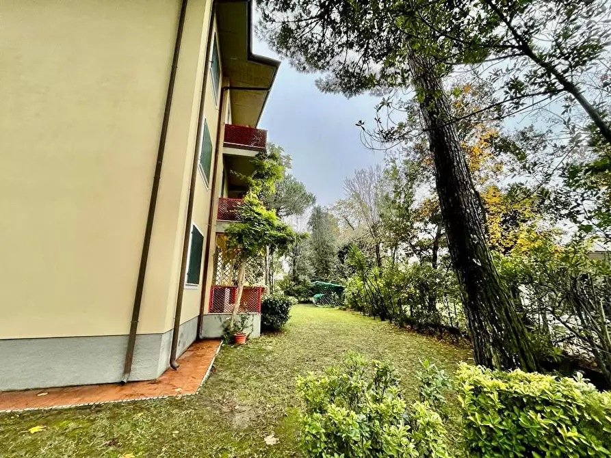 Immagine 3 di Appartamento in vendita  a Massa