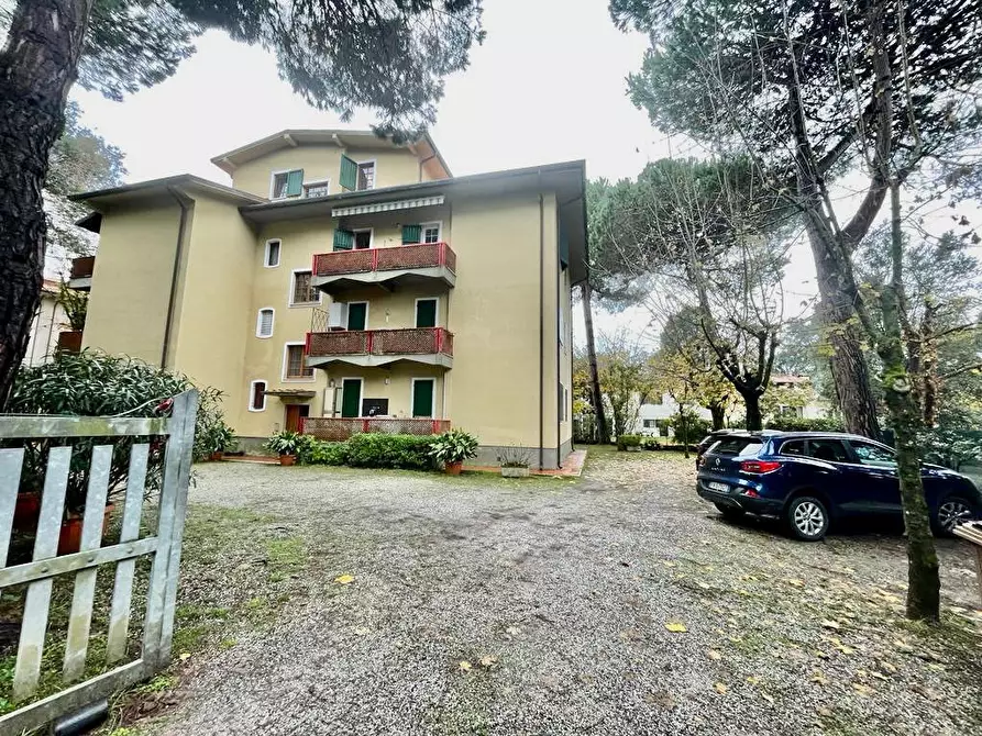 Immagine 2 di Appartamento in vendita  a Massa