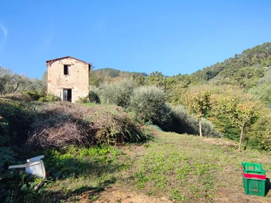 Immagine 1 di Rustico / casale in vendita  a Capannori