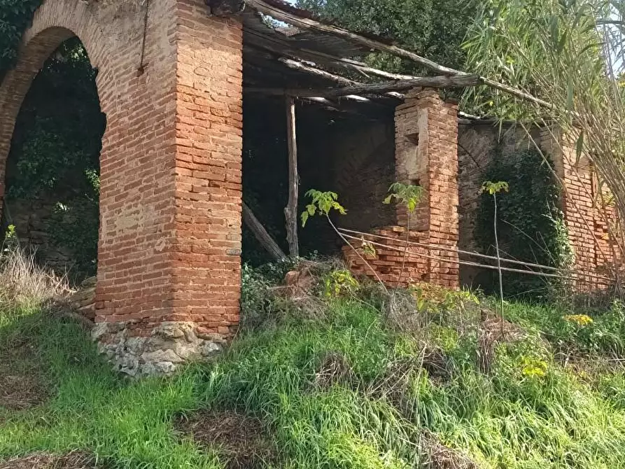 Immagine 2 di Rustico / casale in vendita  a Fauglia