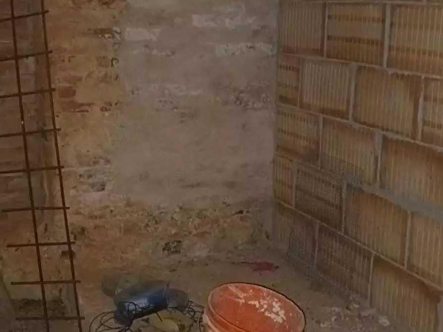 Immagine 5 di Rustico / casale in vendita  a Fauglia