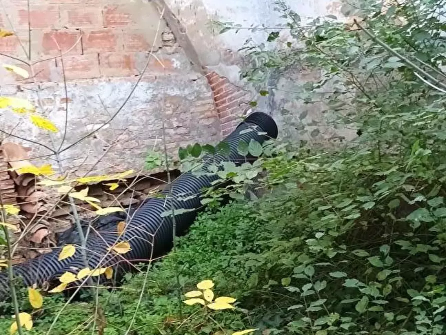 Immagine 3 di Rustico / casale in vendita  a Fauglia