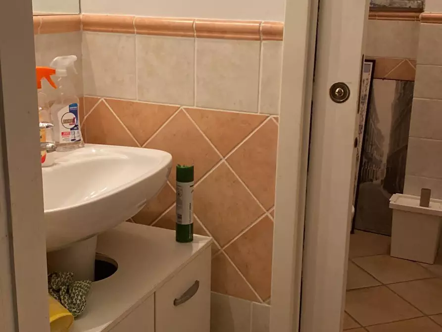 Immagine 7 di Appartamento in vendita  a Massa