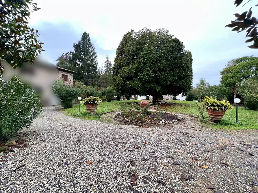 Immagine 60 di Villa in vendita  a Capannori