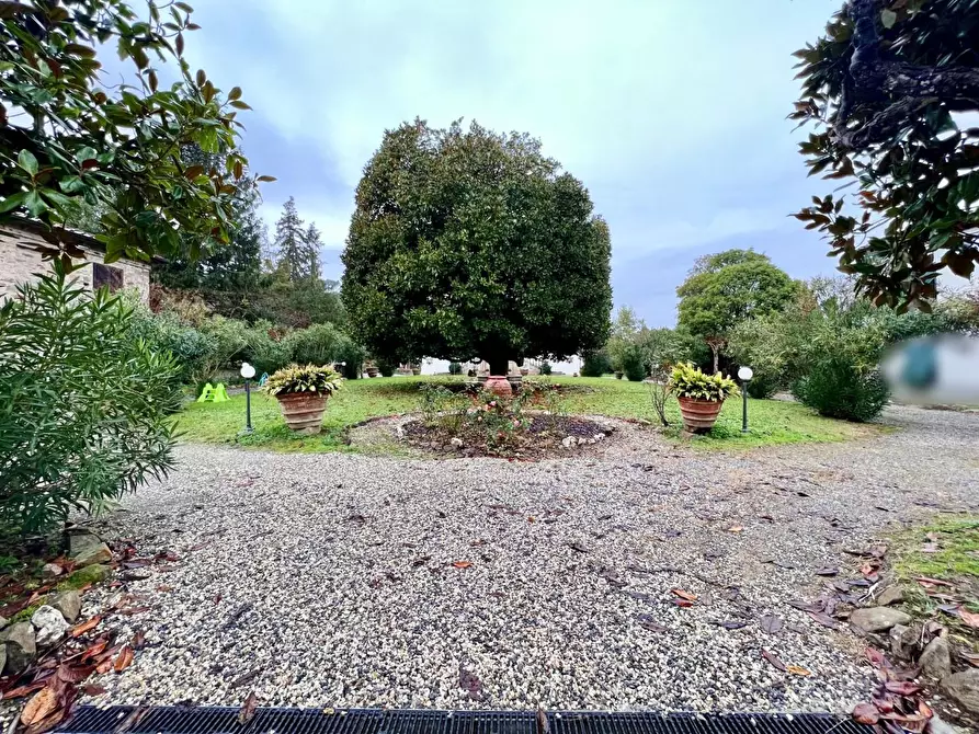 Immagine 59 di Villa in vendita  a Capannori