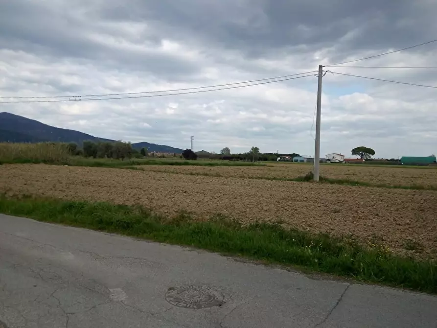 Immagine 3 di Terreno agricolo in vendita  a Cascina