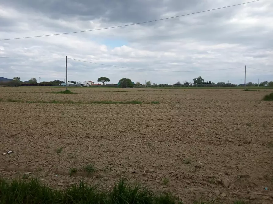 Immagine 1 di Terreno agricolo in vendita  a Cascina