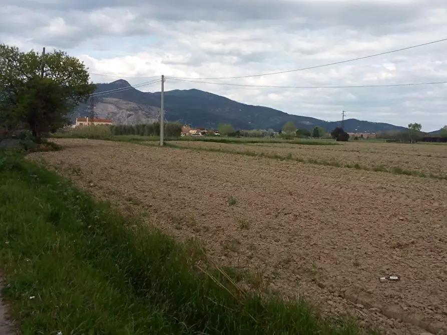 Immagine 2 di Terreno agricolo in vendita  a Cascina