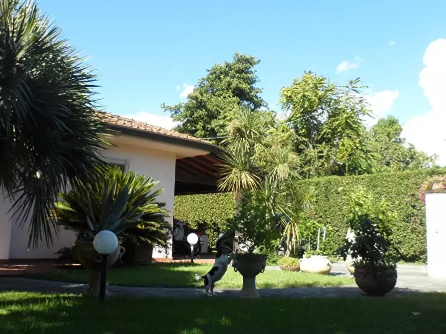 Immagine 8 di Villa in vendita  a Pietrasanta