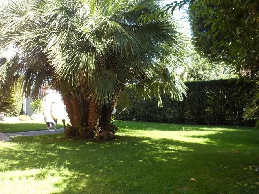 Immagine 14 di Villa in vendita  a Pietrasanta