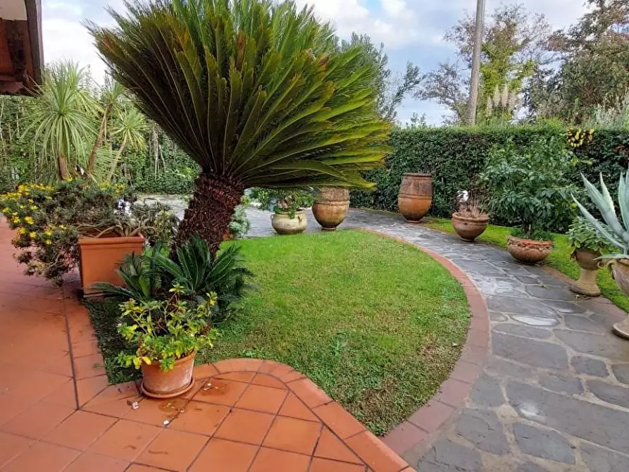Immagine 10 di Villa in vendita  a Pietrasanta