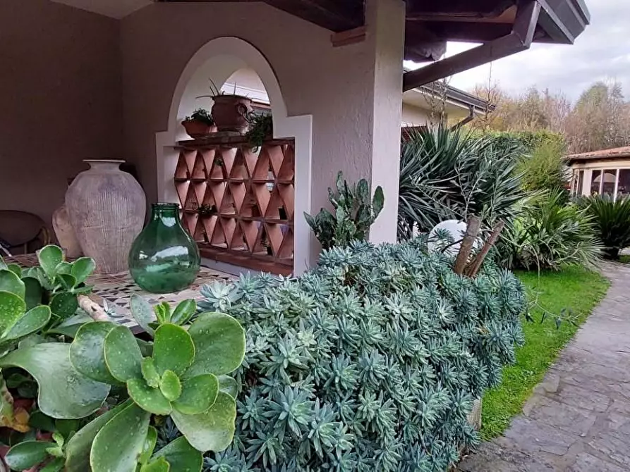 Immagine 21 di Villa in vendita  a Pietrasanta