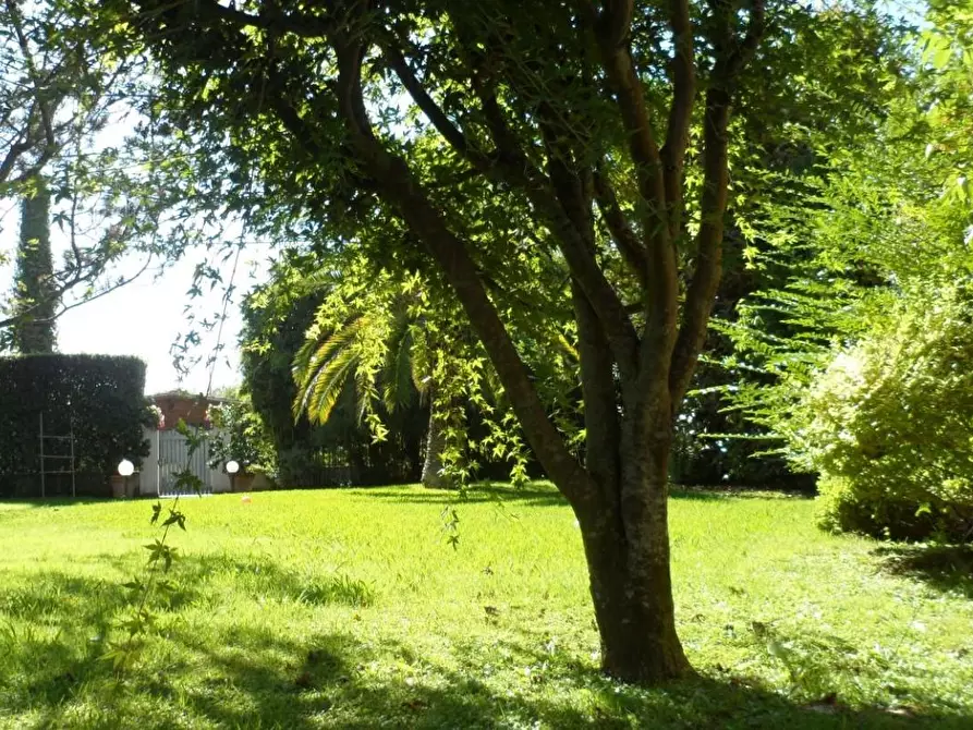 Immagine 23 di Villa in vendita  a Pietrasanta