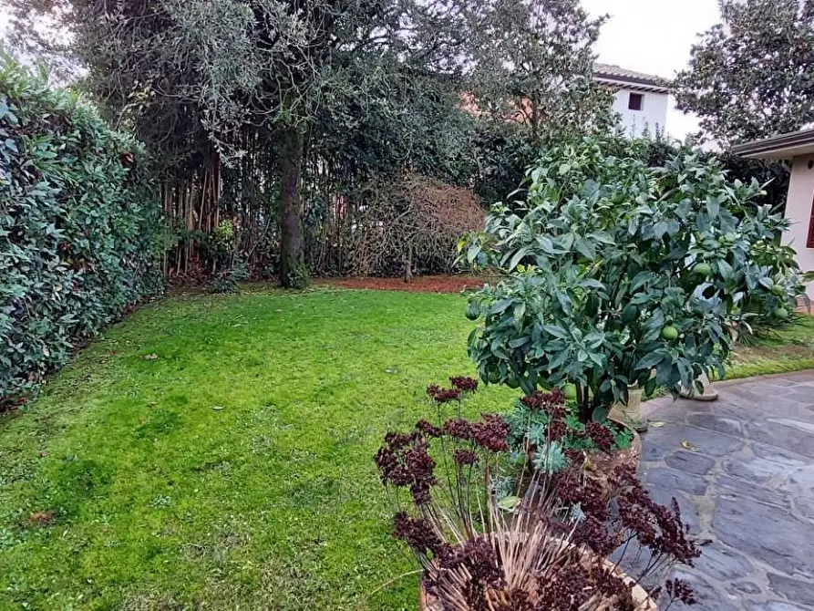 Immagine 12 di Villa in vendita  a Pietrasanta
