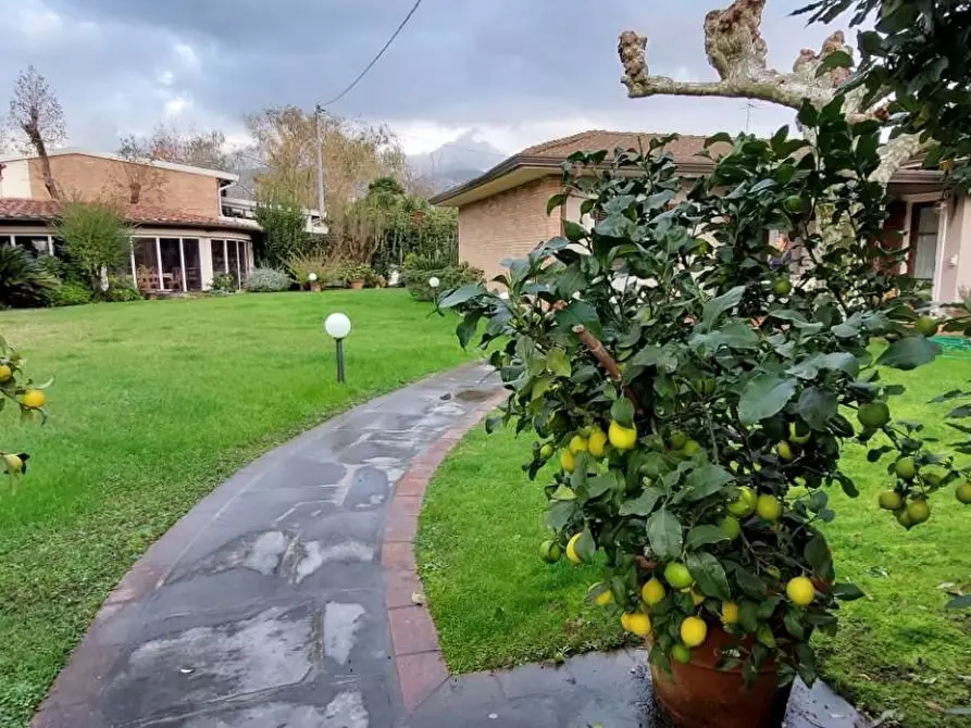 Immagine 2 di Villa in vendita  a Pietrasanta
