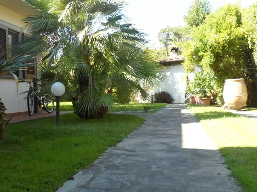 Immagine 9 di Villa in vendita  a Pietrasanta