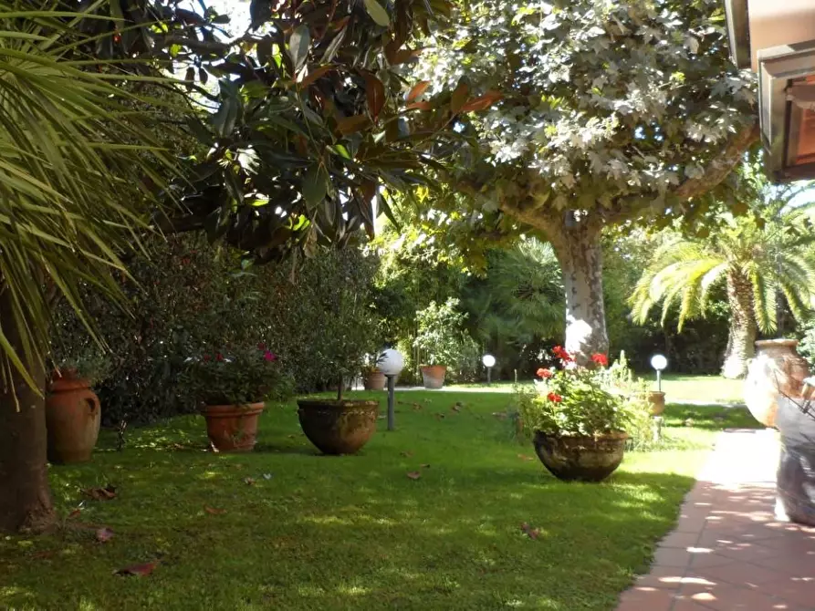 Immagine 5 di Villa in vendita  a Pietrasanta