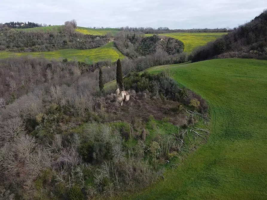 Immagine 2 di Terreno agricolo in vendita  a Asciano