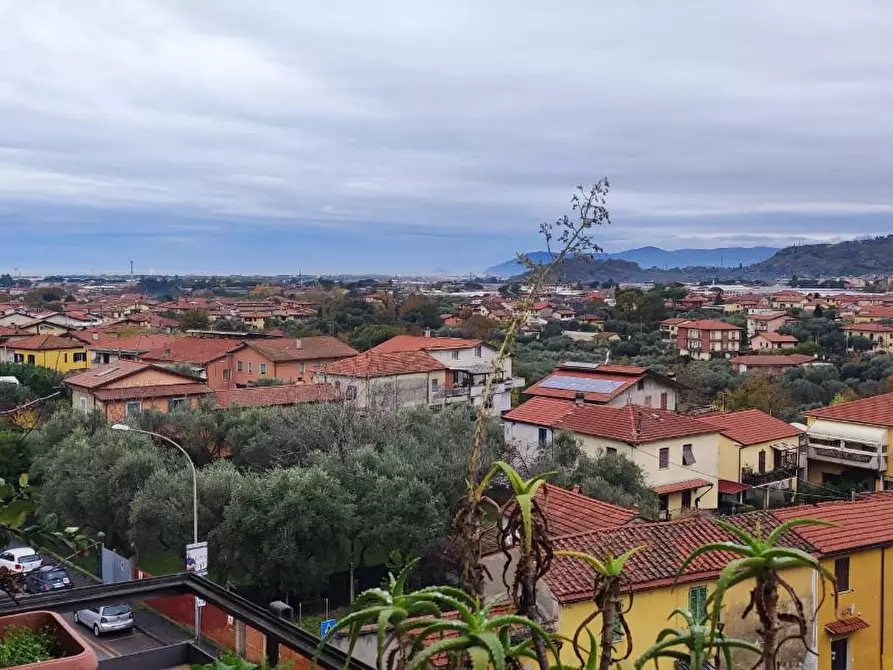 Immagine 1 di Appartamento in vendita  a Massa