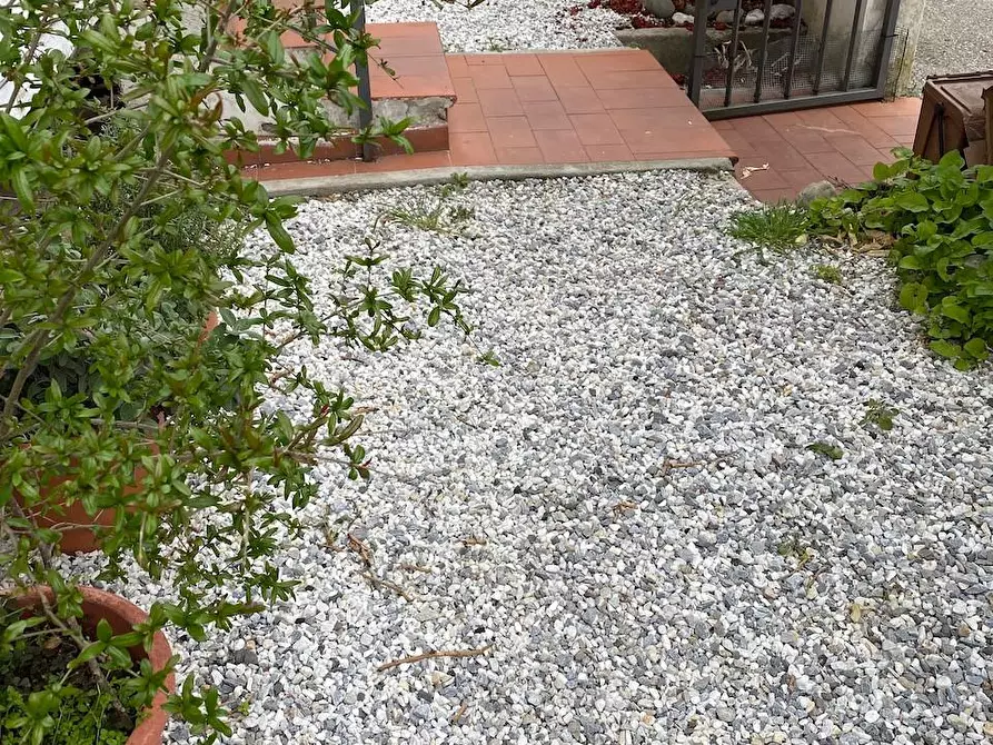 Immagine 5 di Villetta a schiera in vendita  a Vecchiano