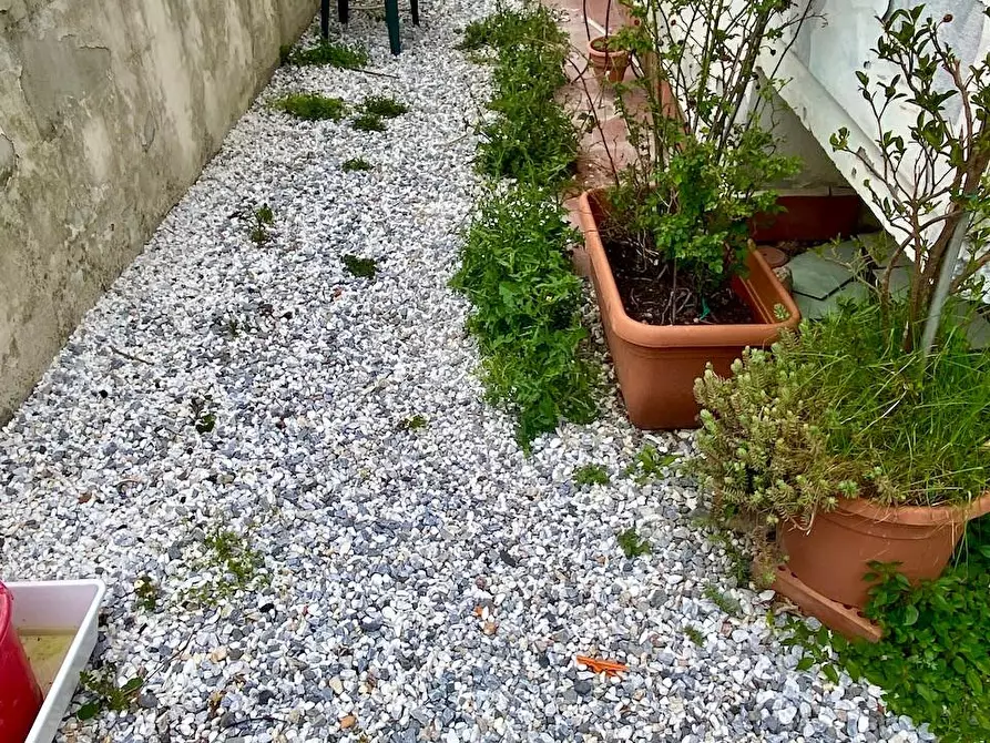 Immagine 6 di Villetta a schiera in vendita  a Vecchiano