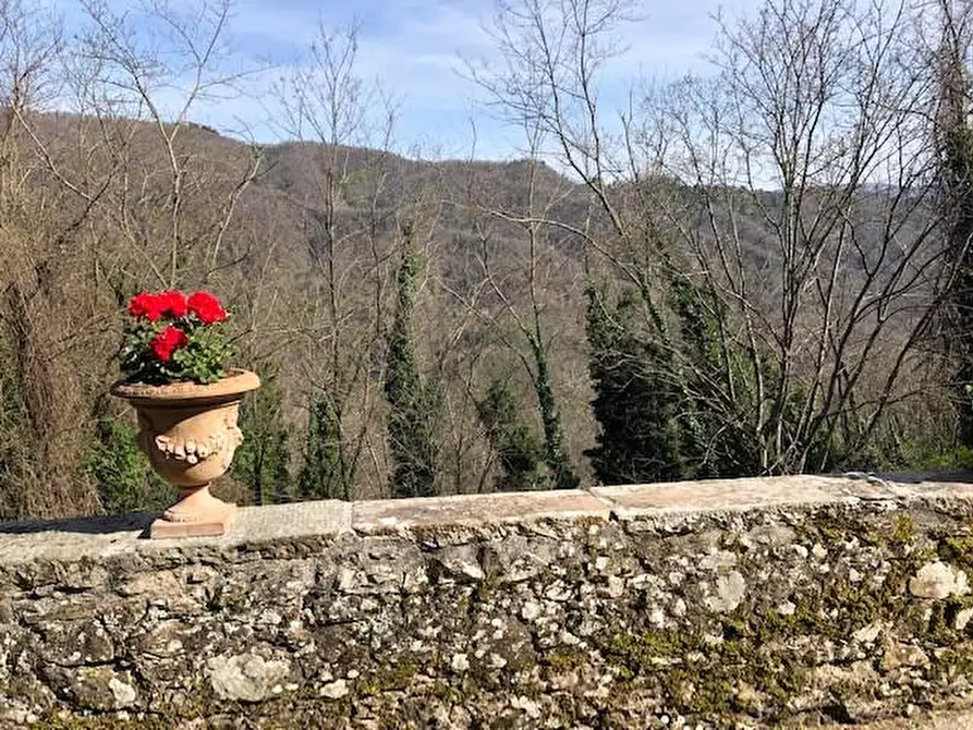 Immagine 3 di Immobile di prestigio in vendita  a Coreglia Antelminelli