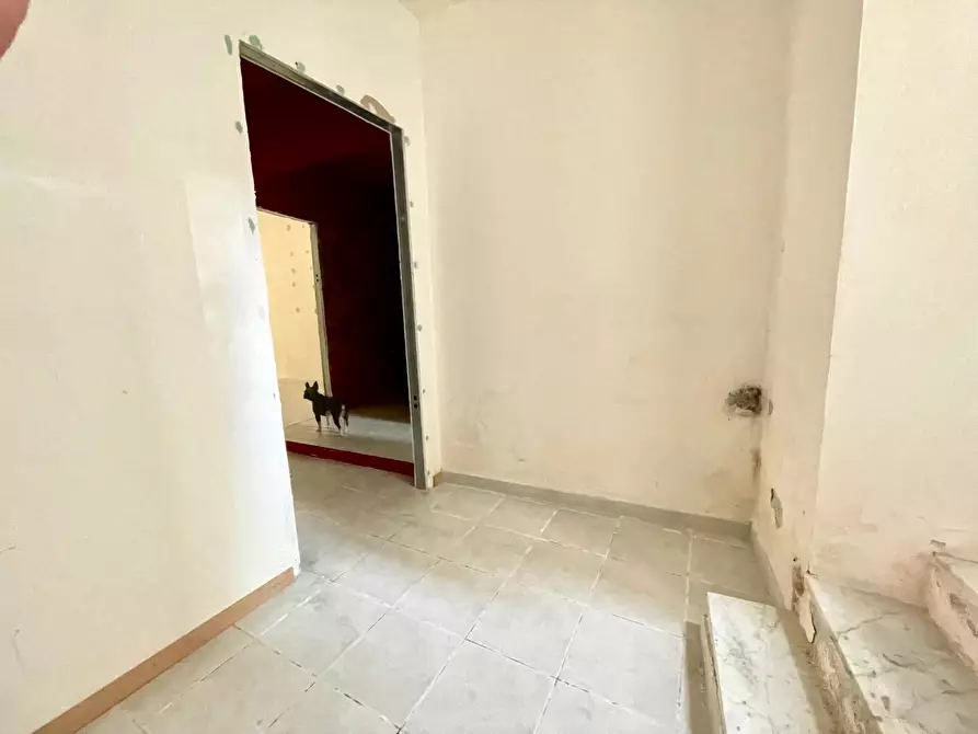 Immagine 2 di Locale commerciale in affitto  a Massa